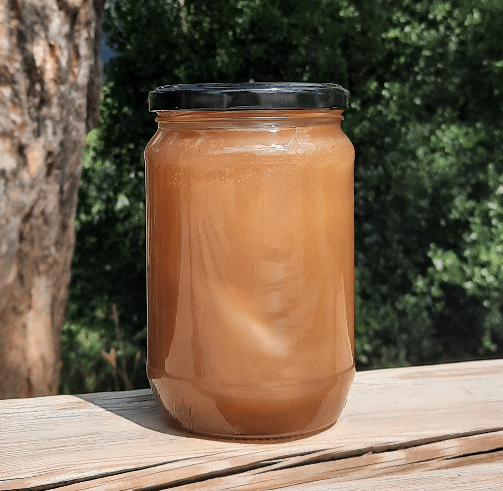 Μέλι Ελάτης